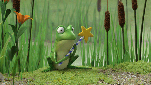 Frog and  wand