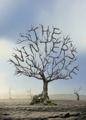 The Winters Tale - poster